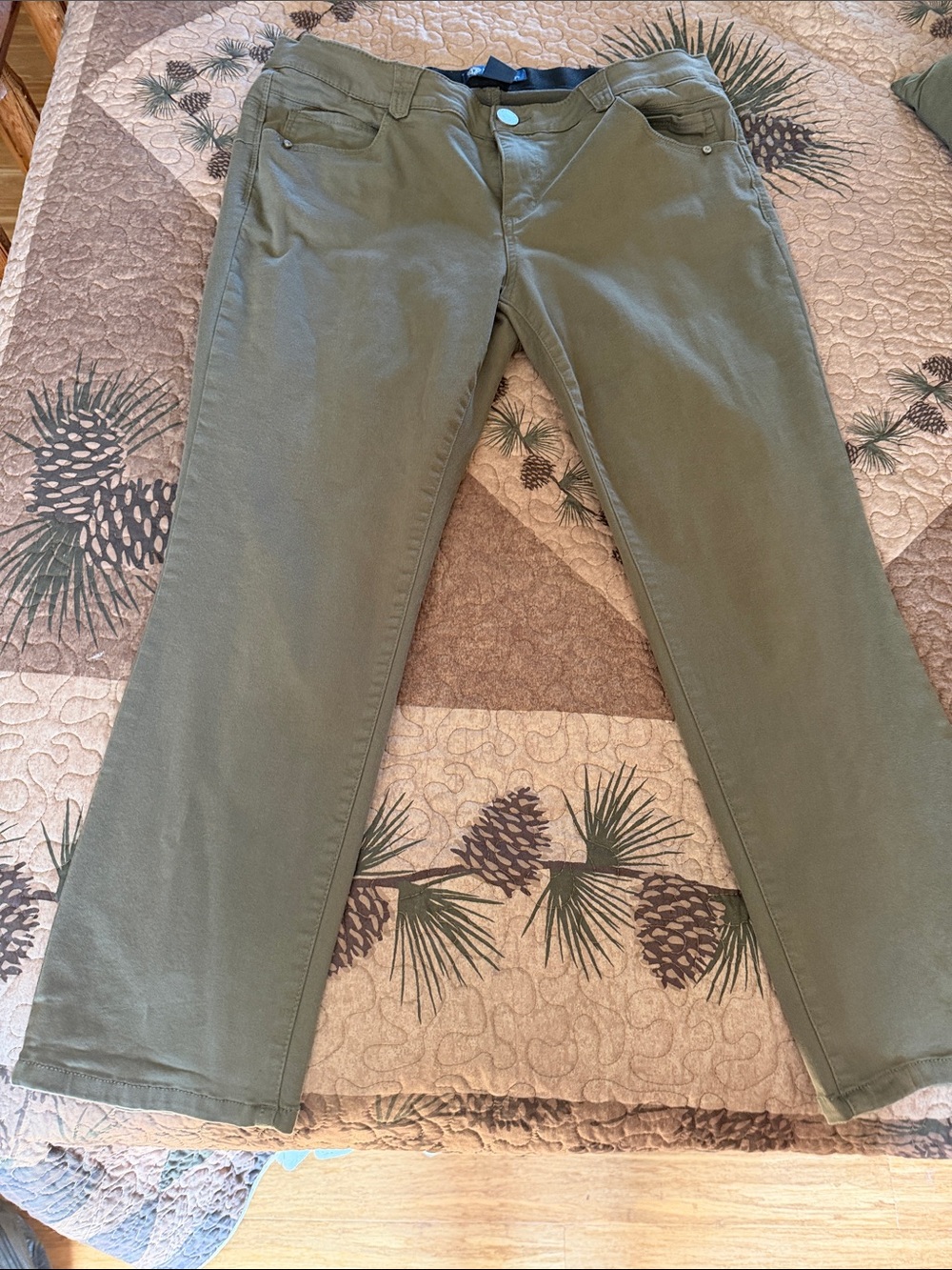 Democracy Olive Straight Leg Women's Jeans